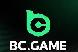 Ставки на спорт в BCGAME Полный гид для новичков Ставки на спорт в BCGAME Полный гид для новичков